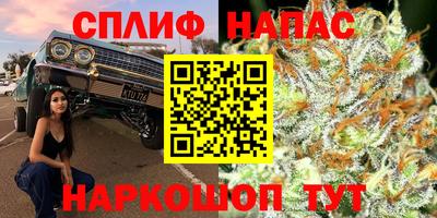 jwh Краснодар
