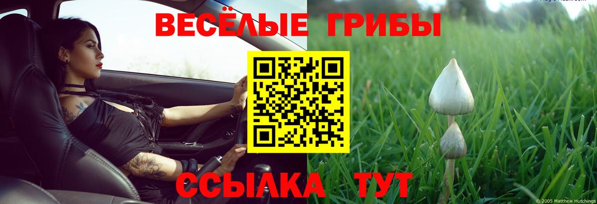 Псилоцибиновые грибы Magic Shrooms Югорск