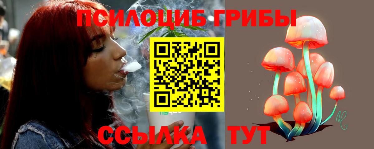 Псилоцибиновые грибы GOLDEN TEACHER  наркошоп  Югорск  Вход с VPN  Псилоцибиновые грибы Psilocybine cubensis 